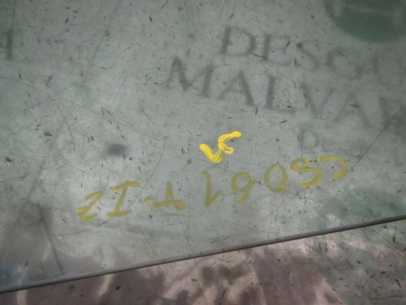 Recambio de cristal puerta trasero izquierdo para seat ibiza (6j5) stylance / style referencia OEM IAM 6J4845205  