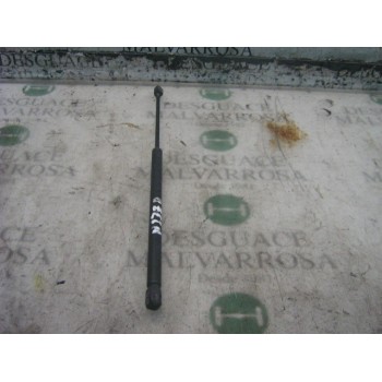 AMORTIGUADORES MALETERO / PORTON 