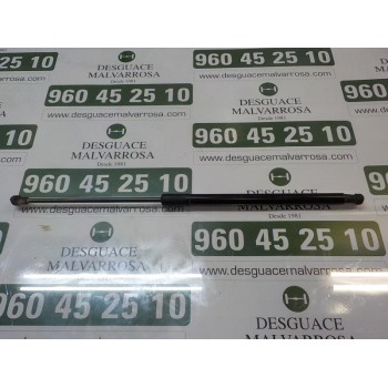 AMORTIGUADORES MALETERO / PORTON 9813913880 