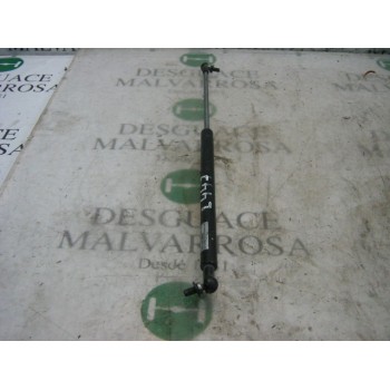 AMORTIGUADORES MALETERO / PORTON 