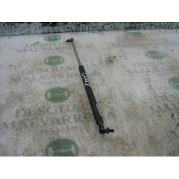 AMORTIGUADORES MALETERO / PORTON 