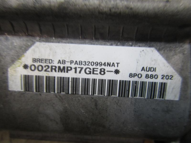 Recambio de airbag delantero derecho para audi a3 (8p) 2.0 tdi ambiente referencia OEM IAM 8P0880202C 8P0880202 