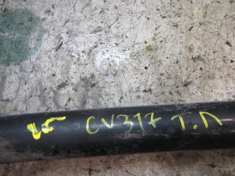 Recambio de amortiguador trasero derecho para volkswagen golf iv berlina (1j1) highline referencia OEM IAM   