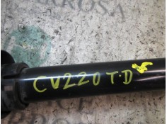 Recambio de amortiguador trasero derecho para fiat bravo (198) 1.6 jtdm 16v cat referencia OEM IAM 51800724   2