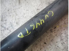 Recambio de amortiguador trasero derecho para seat leon (1p1) 1.9 tdi referencia OEM IAM 1K0513029GG   2