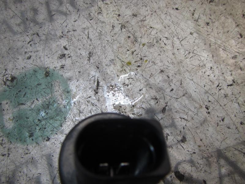 Recambio de bomba limpia para volkswagen polo (9n3) 1.4 16v referencia OEM IAM   