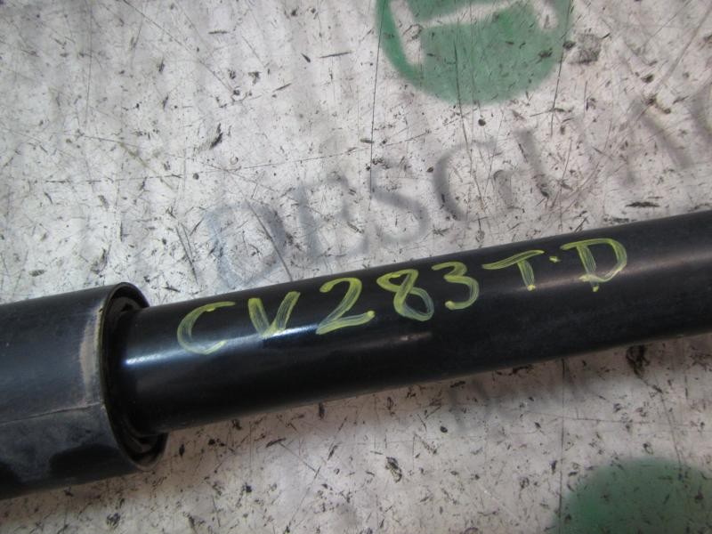 Recambio de amortiguador trasero derecho para ford fiesta (cb1) 1.4 tdci cat referencia OEM IAM   
