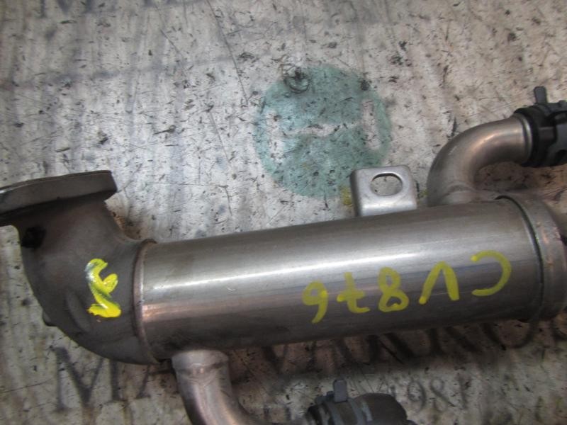 Recambio de enfriador egr para volkswagen polo (9n3) 1.4 tdi referencia OEM IAM   