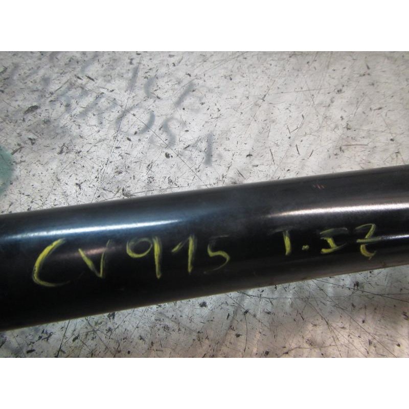 Recambio de amortiguador trasero izquierdo para fiat punto (evo) (199) 1.4 16v referencia OEM IAM 55700452  