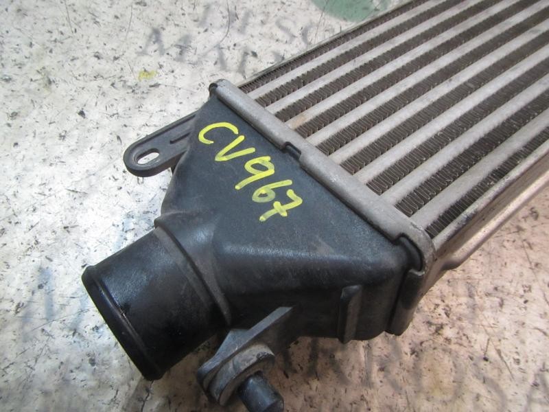 Recambio de intercooler para fiat grande punto (199) 1.9 8v jtd cat referencia OEM IAM 51783791  