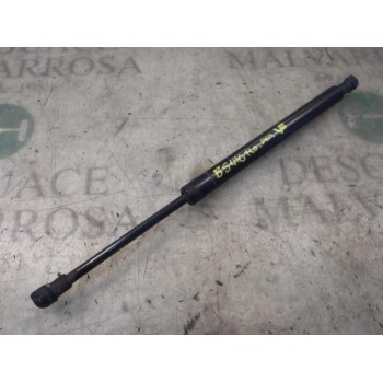 AMORTIGUADORES MALETERO / PORTON 51248254281 