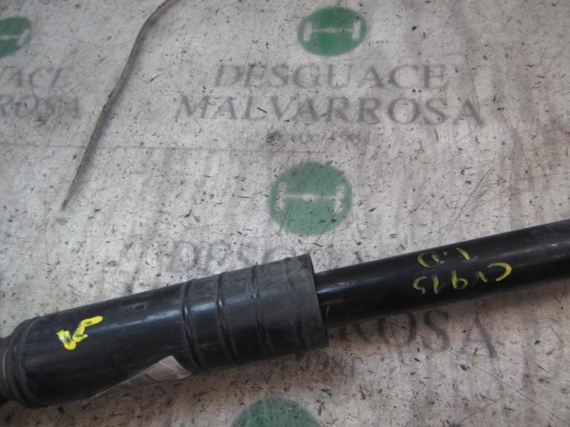 Recambio de amortiguador trasero derecho para fiat punto (evo) (199) 1.4 16v referencia OEM IAM 55700452  