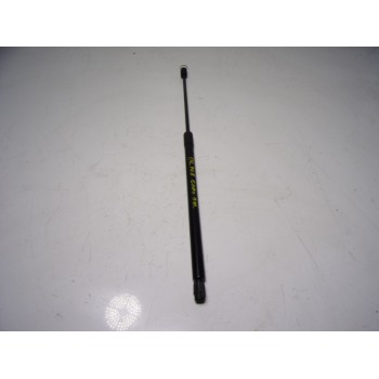 AMORTIGUADOR CAPOT 2018961 