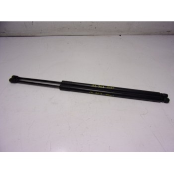 AMORTIGUADORES MALETERO / PORTON 2029377 2029378