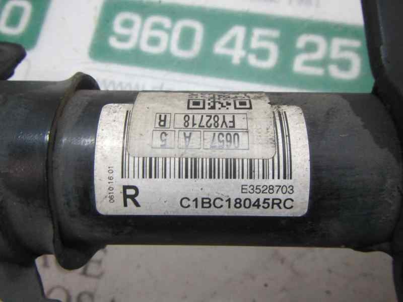 Recambio de amortiguador delantero derecho para ford fiesta (ccn) trend referencia OEM IAM   