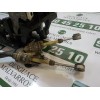 Recambio de palanca cambio para citroën c4 cactus business referencia OEM IAM 9810550980  