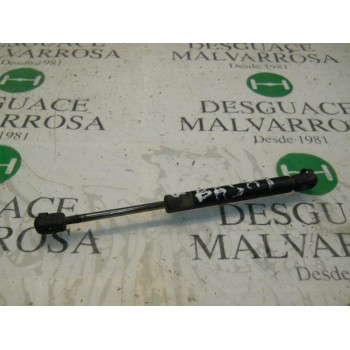 AMORTIGUADORES MALETERO / PORTON 