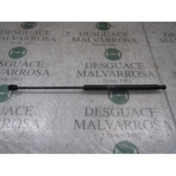 AMORTIGUADORES MALETERO / PORTON 51812267 