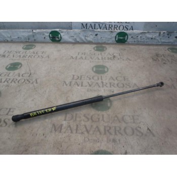 AMORTIGUADORES MALETERO / PORTON 