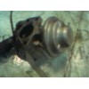 Recambio de valvula egr para fiat brava (182) 1.9 turbodiesel referencia OEM IAM   