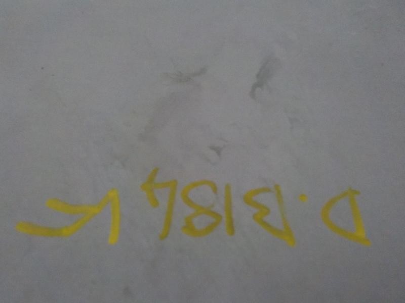 Recambio de capot delantero para mercedes-benz clase a (w168) 1.7 cdi diesel cat referencia OEM IAM   