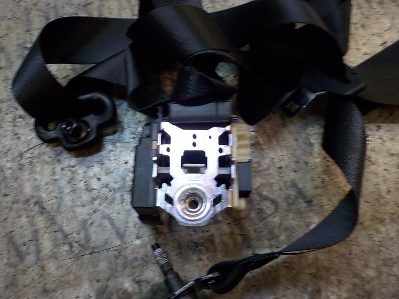 Recambio de cinturon seguridad delantero derecho para ford focus lim. (cb4) 1.6 tdci cat referencia OEM IAM   