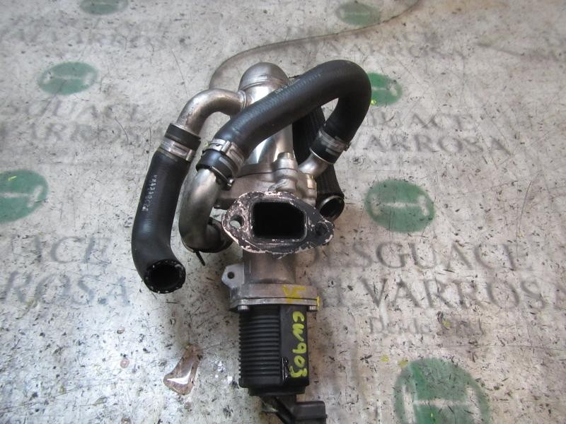 Recambio de valvula egr para fiat doblo 1.3 16v jtd cat referencia OEM IAM 55204941  