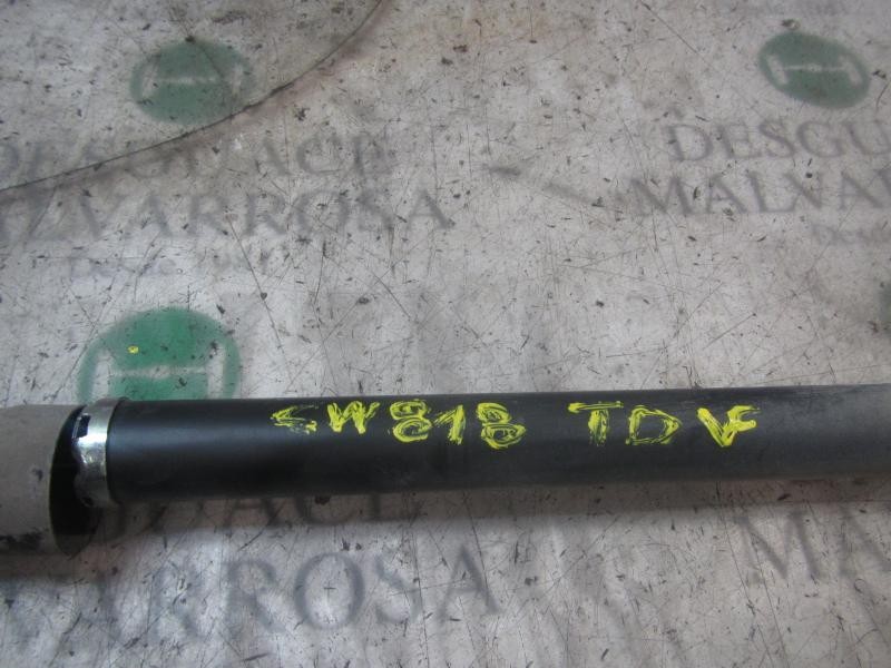 Recambio de amortiguador trasero derecho para peugeot 107 trendy referencia OEM IAM   