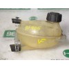 Recambio de deposito expansion para dacia lodgy 1.5 dci diesel fap cat referencia OEM IAM 217104354R  