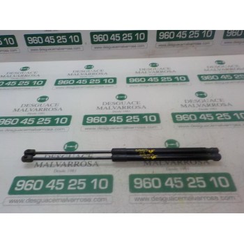 AMORTIGUADORES MALETERO / PORTON 13332570 