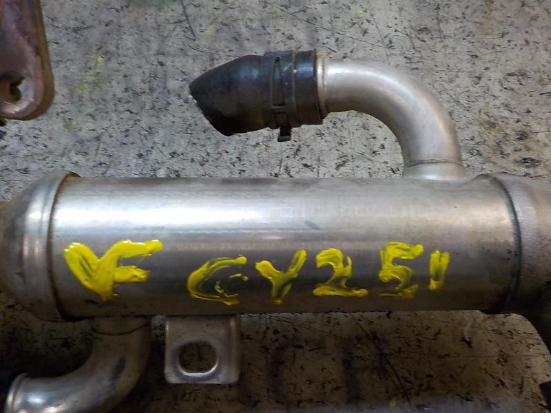 Recambio de enfriador egr para volkswagen polo (9n3) 1.4 tdi referencia OEM IAM   