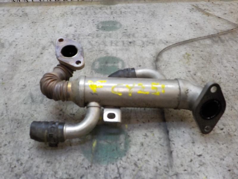 Recambio de enfriador egr para volkswagen polo (9n3) 1.4 tdi referencia OEM IAM   