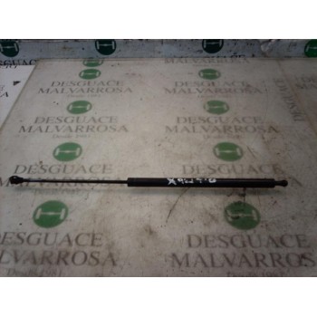 AMORTIGUADORES MALETERO / PORTON 