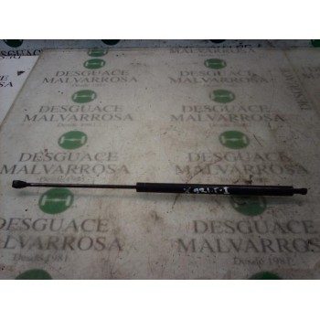 AMORTIGUADORES MALETERO / PORTON 