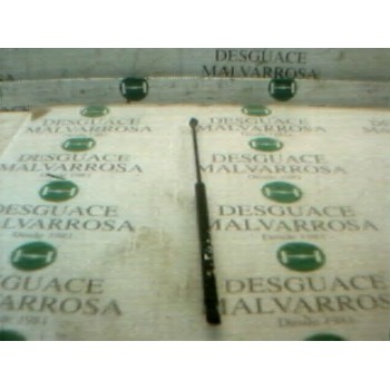 AMORTIGUADORES MALETERO / PORTON 