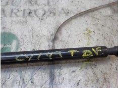 Recambio de amortiguadores maletero / porton para citroën c3 business referencia OEM IAM 8731T9   2