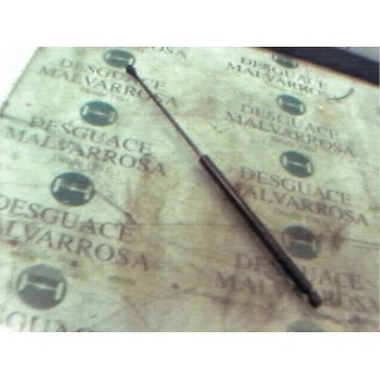 AMORTIGUADORES MALETERO / PORTON 