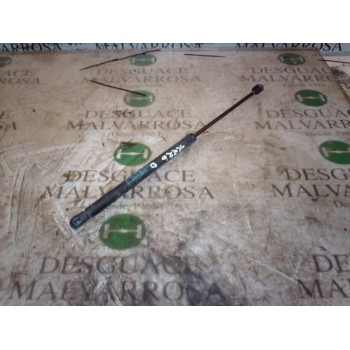 AMORTIGUADORES MALETERO / PORTON 