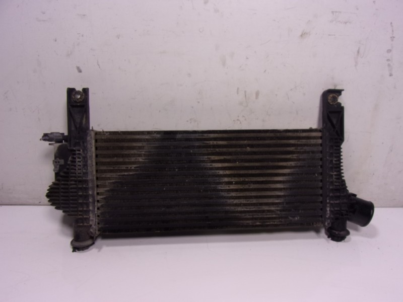 Recambio de intercooler para nissan navara pick-up (d40m) 2.5 dci cat referencia OEM IAM 144615X00A 144615X00A 
