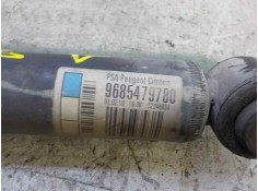 Recambio de amortiguador trasero izquierdo para citroën c3 1.4 hdi referencia OEM IAM    2