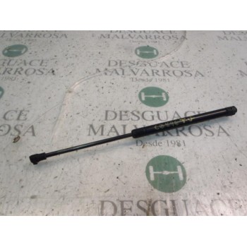 AMORTIGUADORES MALETERO / PORTON 