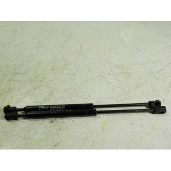 AMORTIGUADORES MALETERO / PORTON 