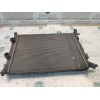 Recambio de radiador agua para renault scenic ii authentique referencia OEM IAM   