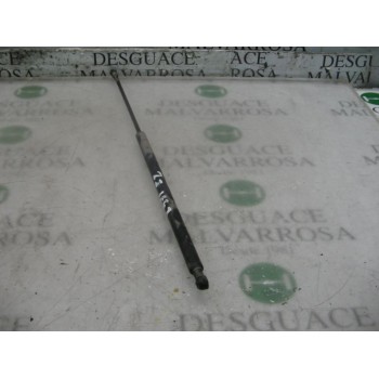 AMORTIGUADORES MALETERO / PORTON 