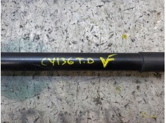 Recambio de amortiguadores maletero / porton para ford fiesta (ccn) trend referencia OEM IAM 1666068   2