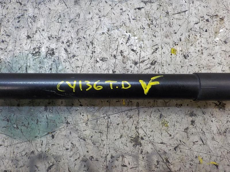 Recambio de amortiguadores maletero / porton para ford fiesta (ccn) trend referencia OEM IAM 1666068  