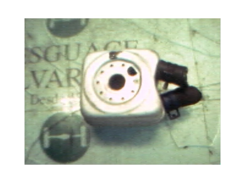 Recambio de enfriador aceite motor para volkswagen polo berlina (6n1) sport air referencia OEM IAM   