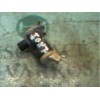 Recambio de bomba limpia para ford scorpio 2.0 (ohc) referencia OEM IAM   