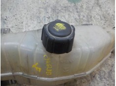 Recambio de deposito expansion para renault clio iii 1.5 dci diesel referencia OEM IAM    2
