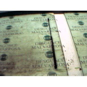 AMORTIGUADORES MALETERO / PORTON 